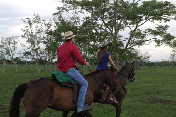Cabalgata